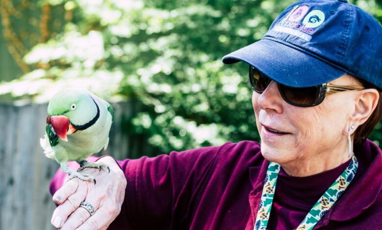 woman wearing maroon sweater and blue cap raising her right hand while rose ringed parrot perching on it