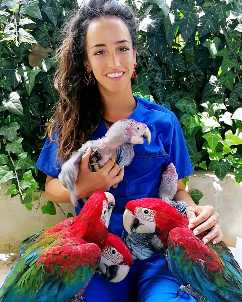 dottoressa federica ardizzone medico veterinario aviare