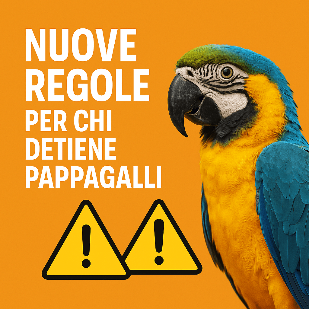 Patentino per animali esotici dal 2026: guida completa
