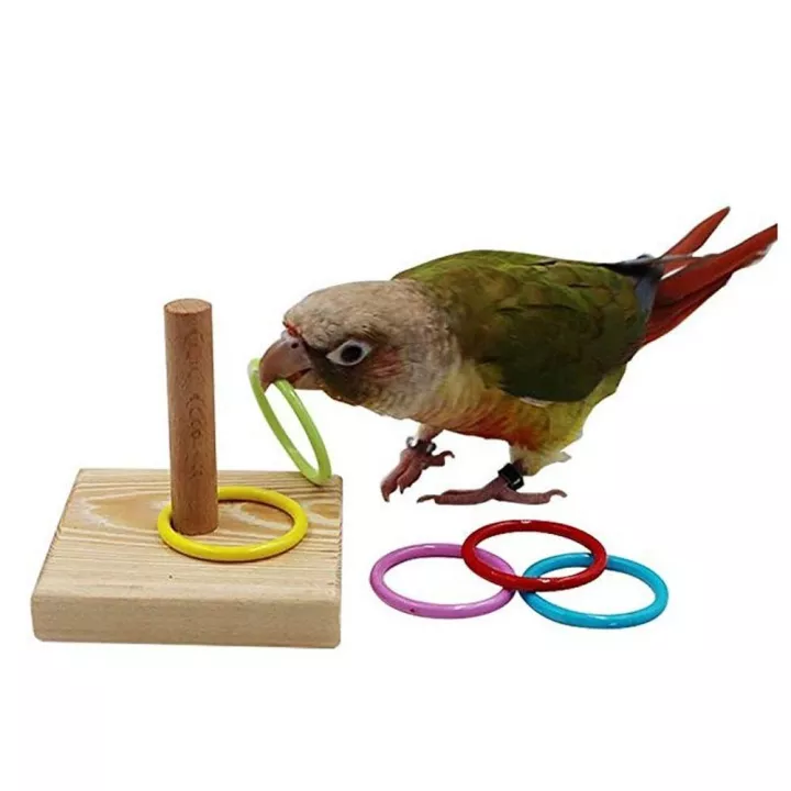 giochi di abilità per pappagalli